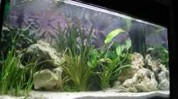 Aquarium Becken 4373