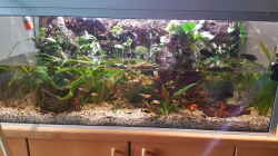 Beim Wasserwechsel 