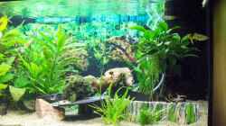 Aquarium Becken 4410