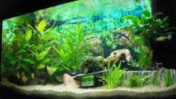 Aquarium Becken 4410