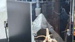 Fertiges Hardscape