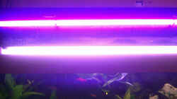 Technik im Aquarium Becken 4457