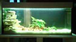 Aquarium Becken 4772