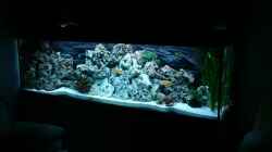 Aquarium Becken 4916