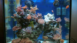 Aquarium Becken 4934