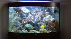 Aquarium Becken 4987