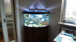 Aquarium Becken 4987