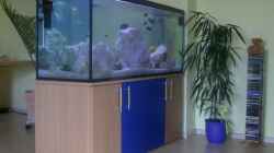 Aquarium Becken 5049