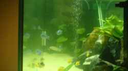 Aquarium Becken 5074