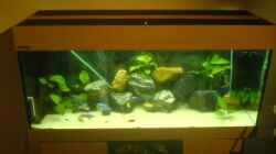 Aquarium Becken 5074