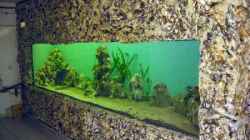 Aquarium Becken 5187
