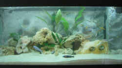 Aquarium Becken 527