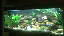 Aquarium Becken 5433