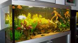 Aquarium Becken 5677