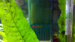 Technik im Aquarium Becken 5850