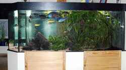Aquarium Becken 589
