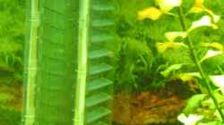 Technik im Aquarium Becken 5912
