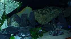 Aquarium Becken 6141