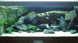 Aquarium Becken 6141