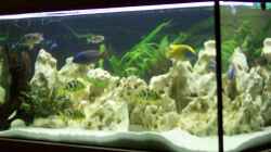 Aquarium Becken 6251