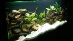 Aquarium von links