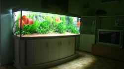 Aquarium Becken 6860