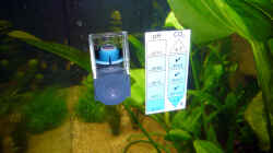JBL CO2 Dauertest