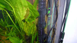 Technik im Aquarium Becken 6988