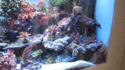 Aquarium Becken 7113