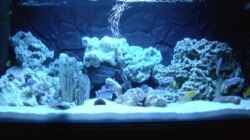 Aquarium Becken 7369