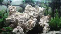 Aquarium Becken 7460