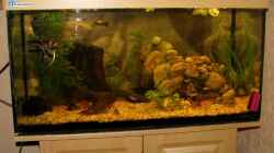 Aquarium Merlins Reich
