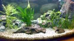 Aquarium Becken 7575