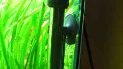 Technik im Aquarium Becken 7584
