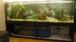 Aquarium Becken 7736