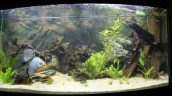 Aquarium Becken 7827