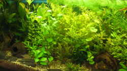 NEU Aug. 08