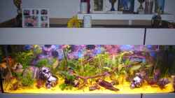 Aquarium Becken 8220