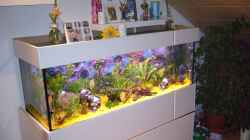 Aquarium Becken 8220