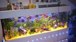 Aquarium Becken 8220