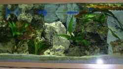 Aquarium Becken 8290