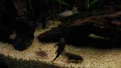 20080516_0161_vorne_links