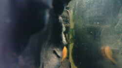 Hinter der Rückwand