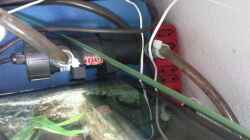 Mauk uv-c Filter