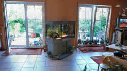 Aquarium Becken 8583
