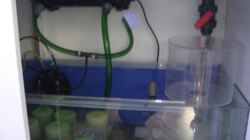 Technik im Aquarium Becken 8816