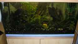 Aquarium Becken 9074