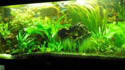 Aquarium Becken 9179