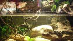 Aquarium Becken 9246