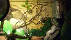Aquarium Becken 9246